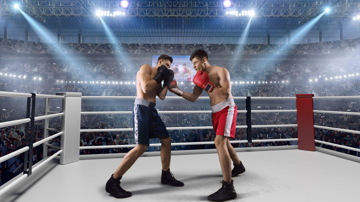Два боксера. Boxing Ring background. Boxing Match with Fumika. Boksring logo.