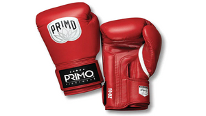 Primo Muay Thai: Elevate Your Training with Top-Notch Gear