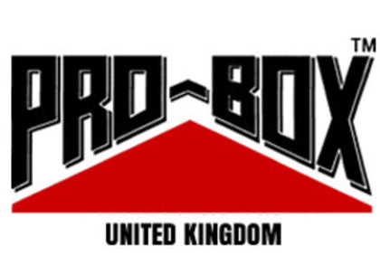 PROBOX JUNIOR BOXING BOOTS