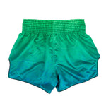 FAIRTEX MUAY THAI SHORTS -  QUANTUM