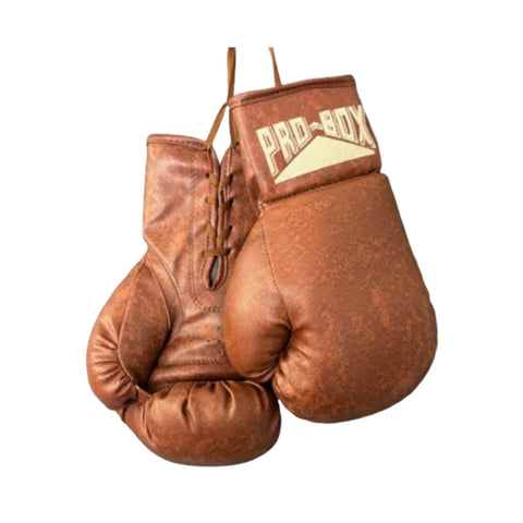 PRO BOX AUTOGRAPH GLOVES-VINTAGE