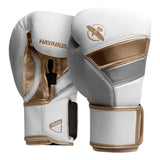 HAYABUSA T3-WHITE/GOLD