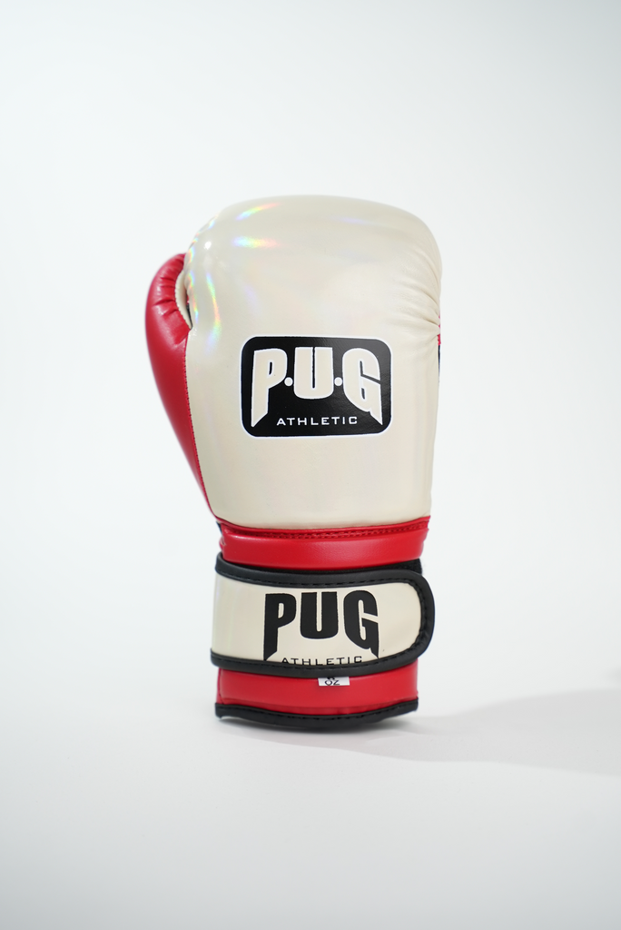 Pug on sale boxing gloves