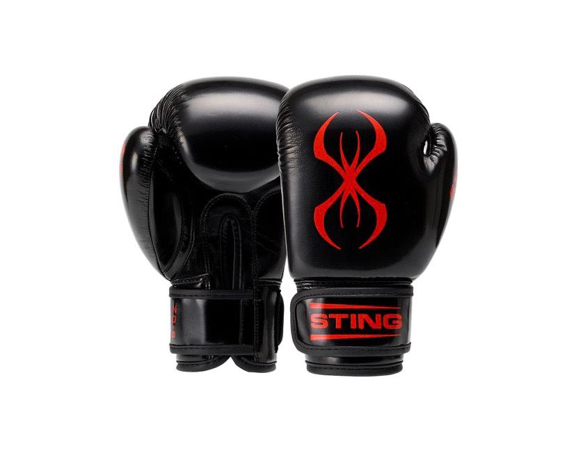 STING JUNIOR GLOVES – Champs Bxing ltd