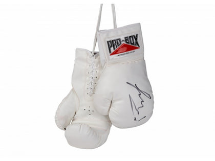 PRO BOX AUTOGRAPH GLOVES